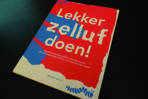 Boek Lekker zelluf doen!